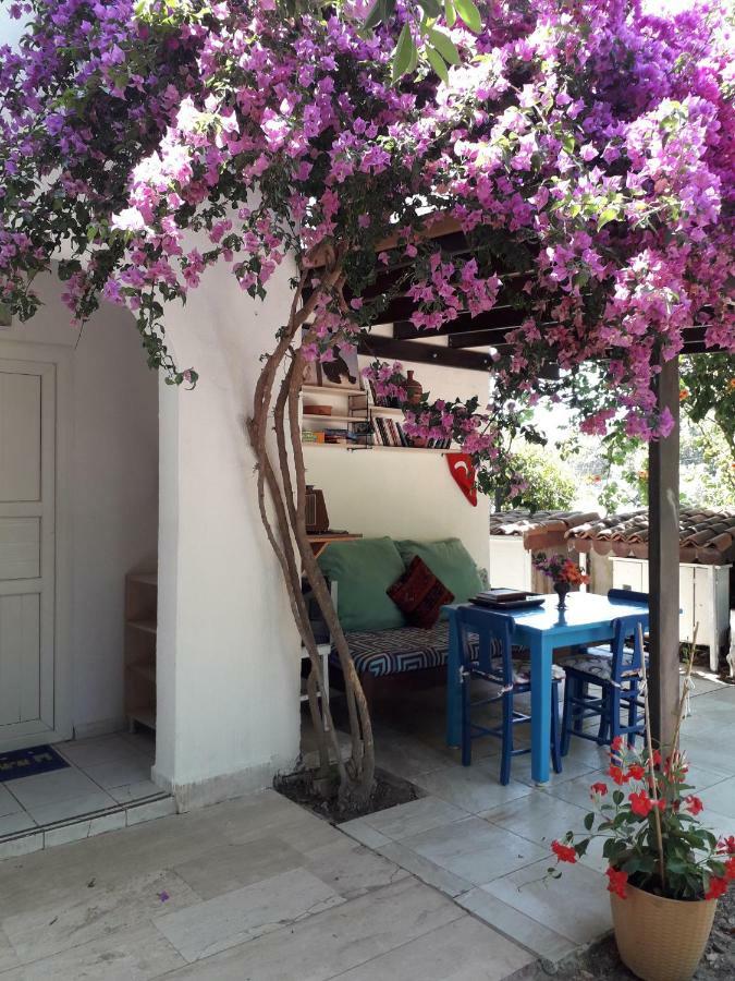 Paradise Guemuesluek Gümüşlük Exterior foto