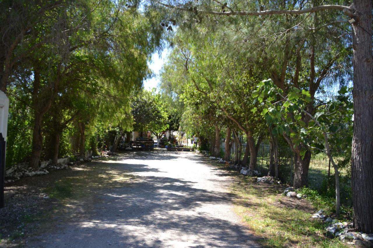 Paradise Guemuesluek Gümüşlük Exterior foto