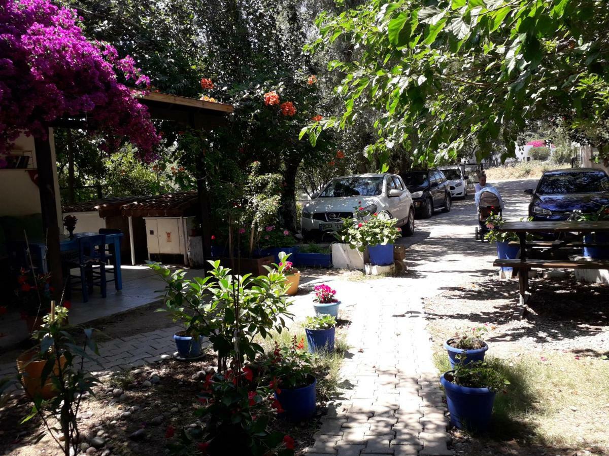 Paradise Guemuesluek Gümüşlük Exterior foto